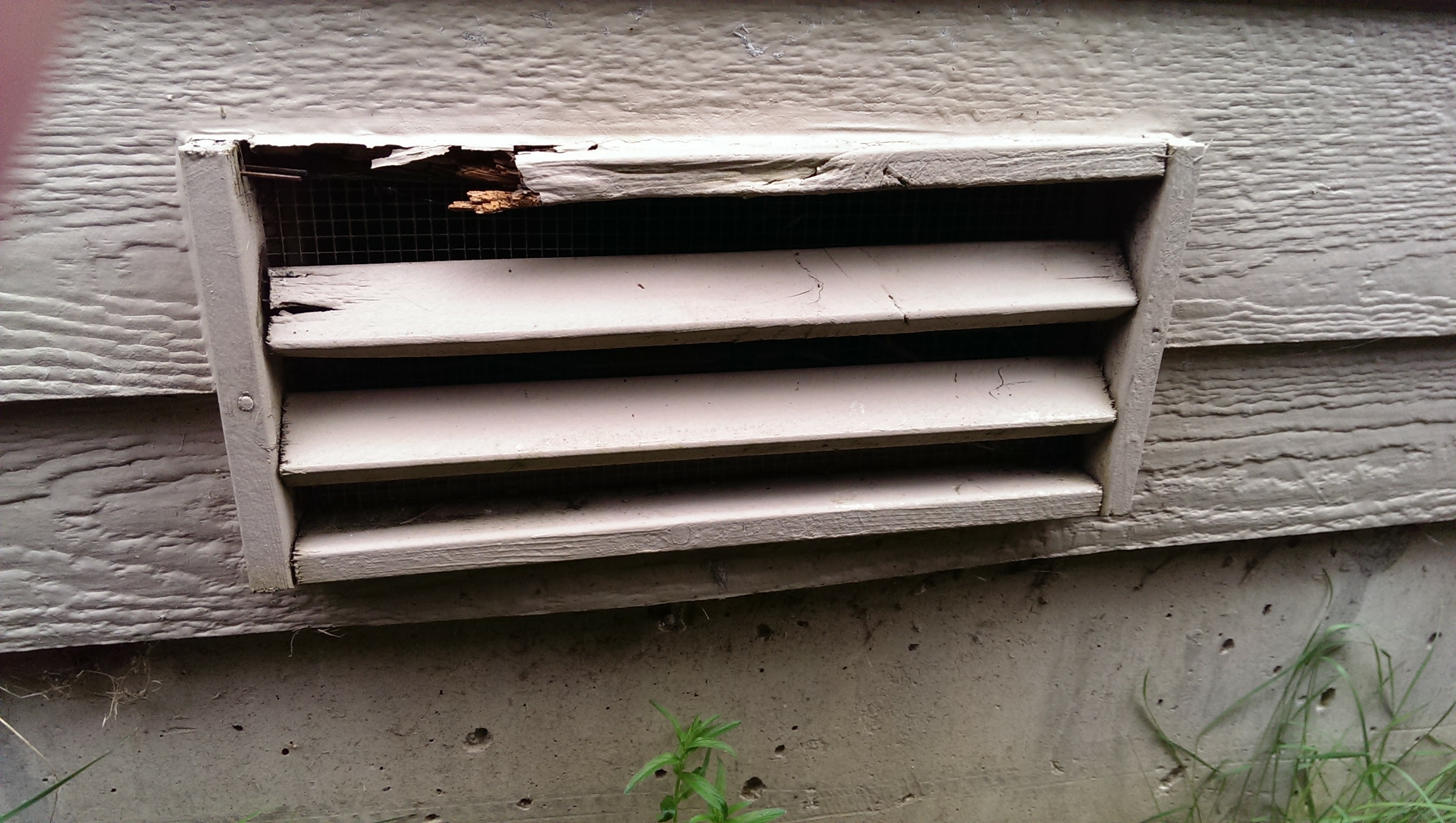 The Best Options To Cover Your Crawl Space Vents